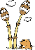 @C[W
