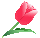 �`���[���b�v�@�C���[�W