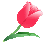 �`���[���b�v�@�C���[�W