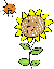 �Ђ܂��@�C���[�W