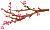 ~@C[W